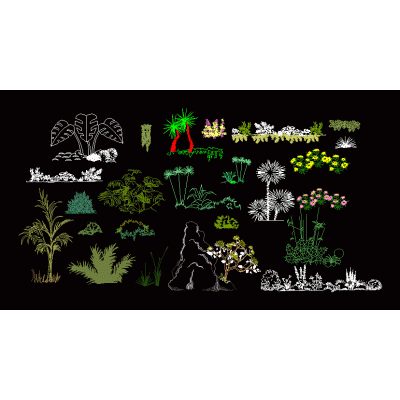 Plantas y flores en alzado