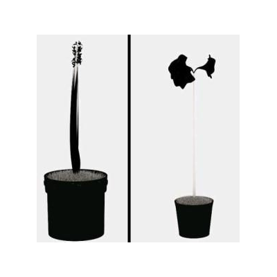 Elegancia Vegetal en 3D