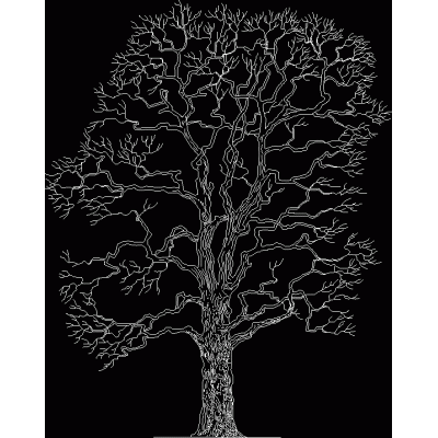Complejo arbol