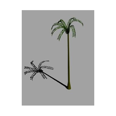 Palmera Tropical Realista en 3D