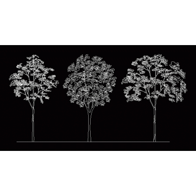 Arboles