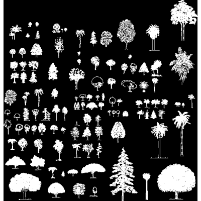 Arboles en alzado