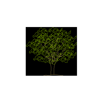 arbol Frondoso - Vista Frontal