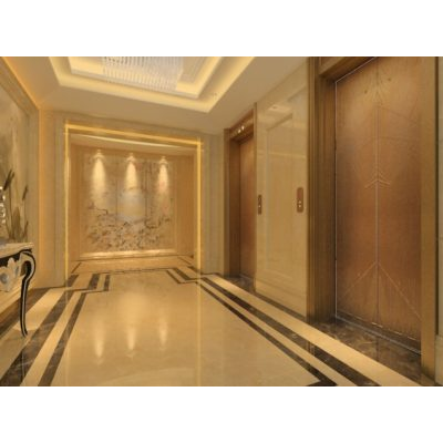 Ascensor de lujo con decoracion 3d modelo max. 3ds