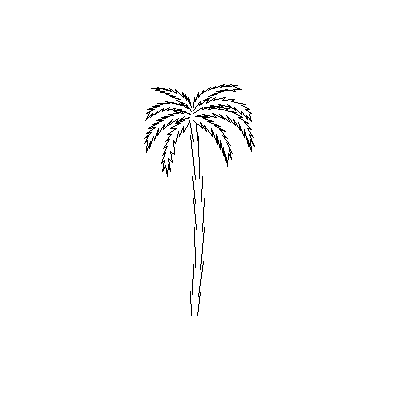 Perfil Elegante de Palmera