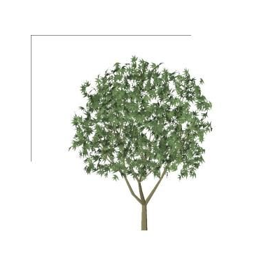Arbol 3d