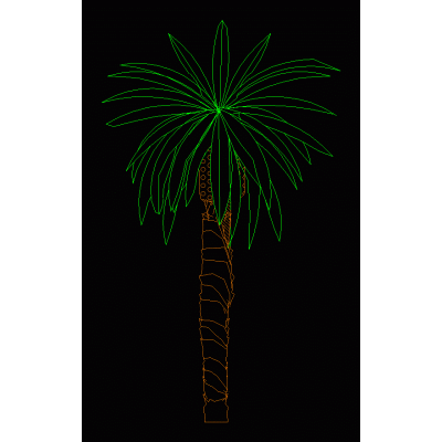 Palmera 01