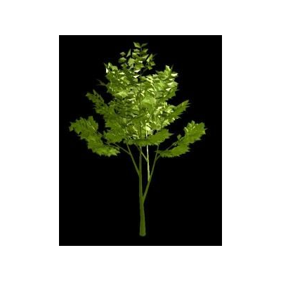 3d tree