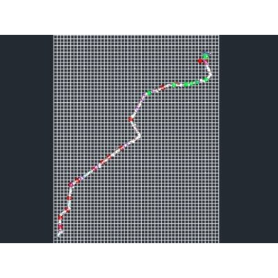 Diseno de Camino Empedrado en Desarrollo