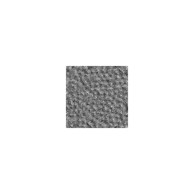 Textura de Hormigón Rugoso Gris