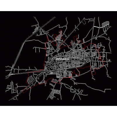 Mapa Detallado de Zapotlanejo