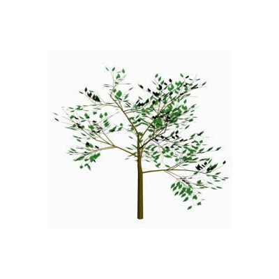 Arbol