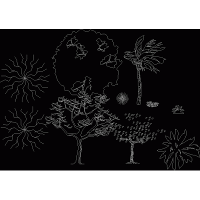 arboles en Alzado: Diversidad y Detalle