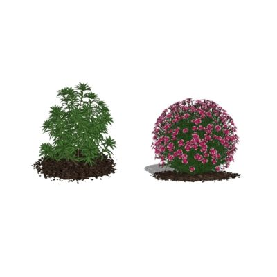 Plantas para jardines 3d de alta definicion