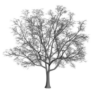 Arbol 3d