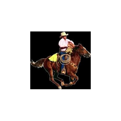 Cavaliere in azione