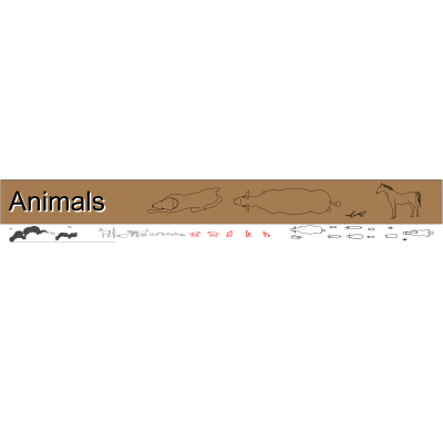 Animal Collection