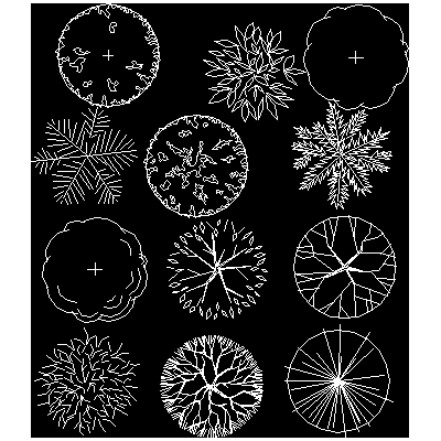 Bloques de vegetacion