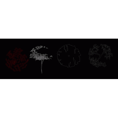 Arboles