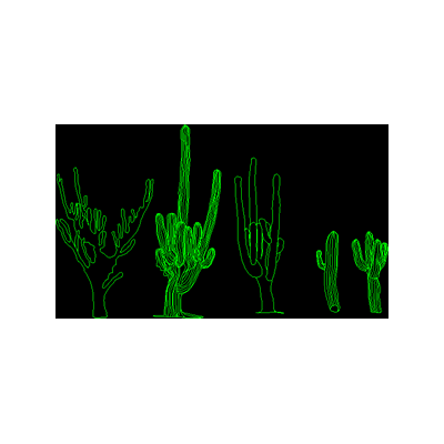 Dibujos de Cactus en Alzado