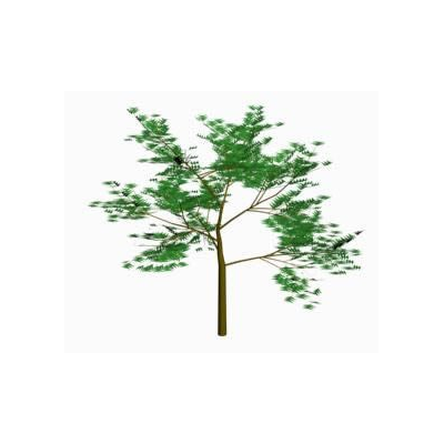 Arbol