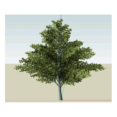 Arbol 3d
