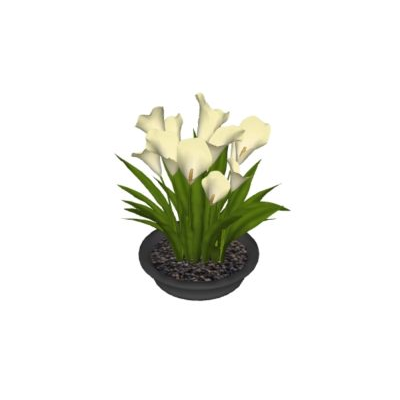Plantas interiores 3d de alta definicion