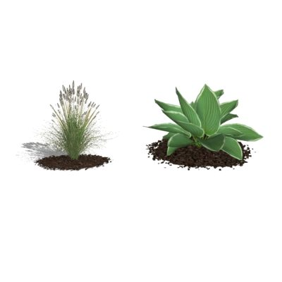 Plantas para jardines 3d de alta definicion
