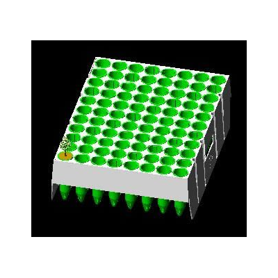 Tubetes para siembra de pinos