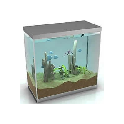 Pecera 3d