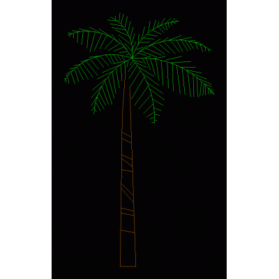 Palmera 02