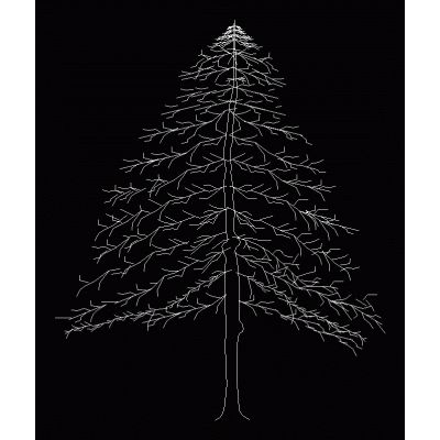 Arbol pino