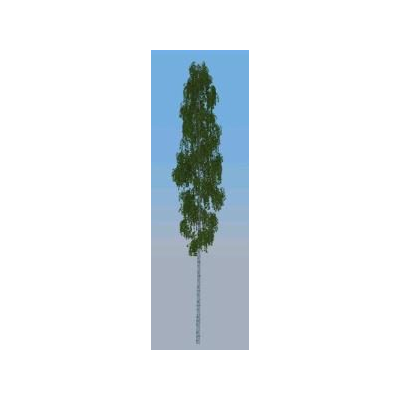 3d tree