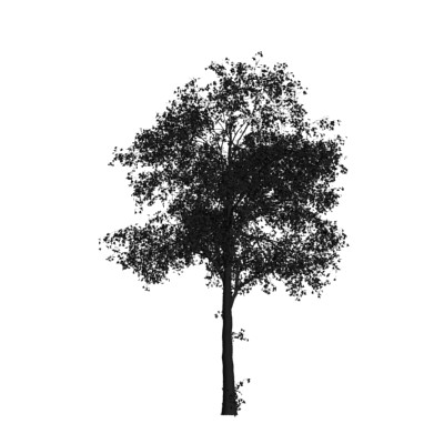 Arbol 3d max max