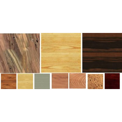 Struttura del legno