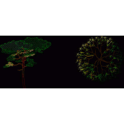Arbol alzado y planta
