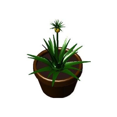 Planta de interior en maceta