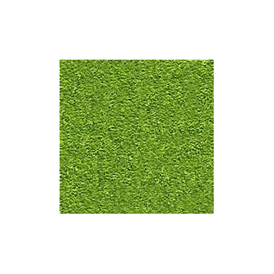 Grama/grass