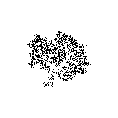 arbol Majestuoso en Alzado