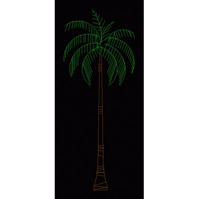 Elegante Palmera en Alzado