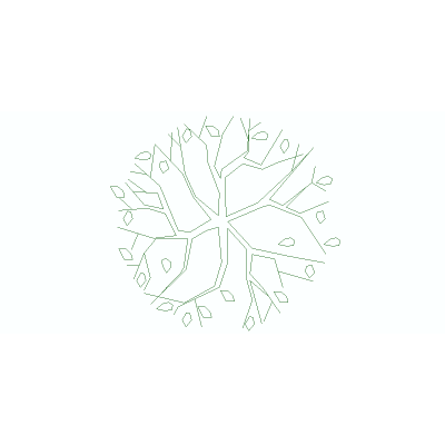 Arbol Visto En Planta