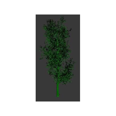 3d tree