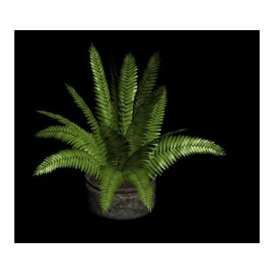 Planta para interior
