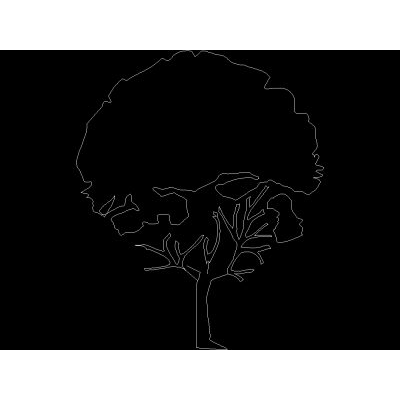Arbol en alzado 002