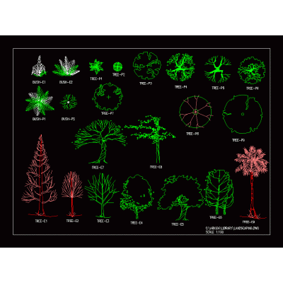 Arboles en elevacion