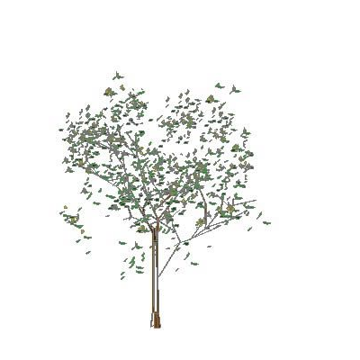 strom tree # strom tree