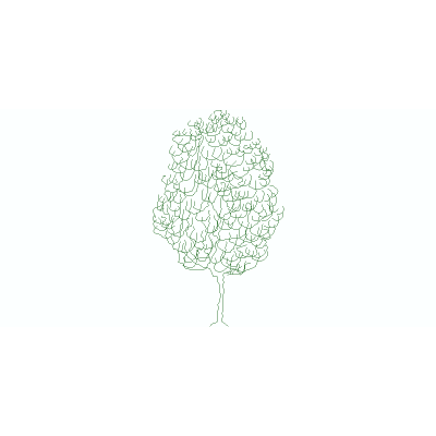 Arbol En Alzado