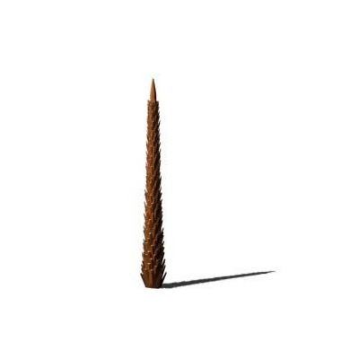 palmera