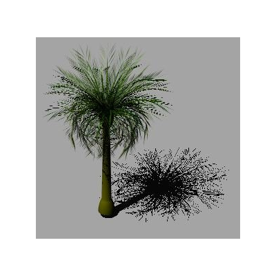 Palmera Tropical en 3D