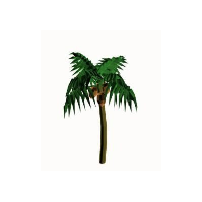 Palmera cocotera.